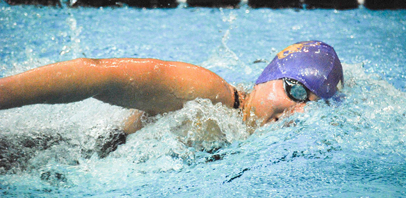 Panther Swim Camps